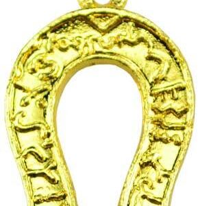 Good Luck Horseshoe