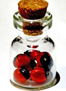 Huayruro Charm amulet