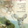 Animal Messenger by Regula Meyer Animal Messenger by Regula Meyer