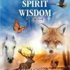 Animal Spirit Wisdom by Kansa & Kirchner-Young Animal Spirit Wisdom by Kansa & Kirchner-Young