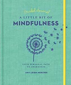 Little Bit Mindfulness journal guided journal