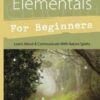 Faeries & Elementals for Beginners by Alexandra Chauran Faeries & Elementals for Beginners by Alexandra Chauran