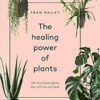 Healing Power of Tea by Caroline Dow Healing Power of Tea by Caroline Dow
