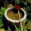 Healing Power of Herbs Healing Power of Herbs