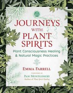 Journeys with Plant Spirits by Emma Farrell