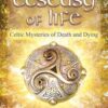 Last Ecstacy of Life by Phyllida Anam-Aire Last Ecstacy of Life by Phyllida Anam-Aire