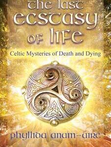 Last Ecstacy of Life by Phyllida Anam-Aire