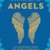 Little Bit of Angels (hc) by Elaine Clayton Little Bit of Angels (hc) by Elaine Clayton
