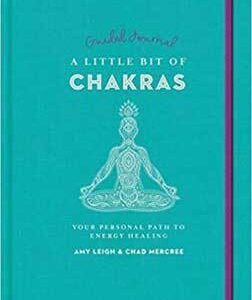 Little Bit of Chakras (hc) by Leigh & Mercree