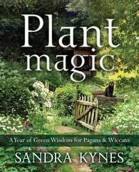 Plant Magic by Sandra Kynes
