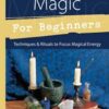 Practical Magic for Beginners by Brandy Williams Practical Magic for Beginners by Brandy Williams