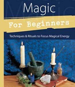 Practical Magic for Beginners by Brandy Williams