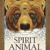 Spirit Animal coloring book by Ravynne Phelan’s