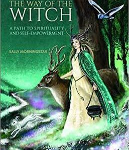 Way of the Witch by Sally Morningstar