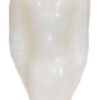 7 1/4″ White Male candle 7 1/4″ White Male candle