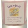 Friendship soy votive candle Friendship soy votive candle