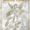 Angel Tarot deck & book by Travis McHenry Angel Tarot deck & book by Travis McHenry