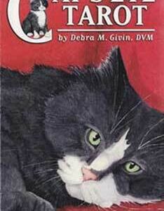 Cat’s Eye Tarot Deck by Debra Givin