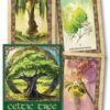 Celtic Tree Oracle by Sharlyn Hidalgo Celtic Tree Oracle by Sharlyn Hidalgo
