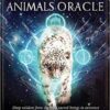 Divine Animals oracle by Stacey Demarco Divine Animals oracle by Stacey Demarco