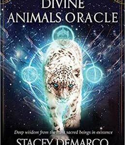 Divine Animals oracle by Stacey Demarco