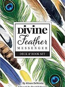 Divine Feather Messenger by Alison DeNicola