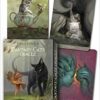 Fantasy Cats oracle by Paolo Barbieri Fantasy Cats oracle by Paolo Barbieri