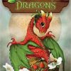 Field Guide to Garden Dragons by Morrison & Lynch Field Guide to Garden Dragons by Morrison & Lynch