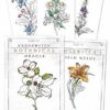 Hedgewitch Botanical oracle by Siolo Thompson Hedgewitch Botanical oracle by Siolo Thompson