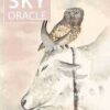Land Sky oracle by Theresa Hitch Land Sky oracle by Theresa Hitch