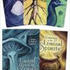 Liminal Spirits oracle,Witch’s Spirit Cards by Laura Tempes Zakroff Liminal Spirits oracle,Witch’s Spirit Cards by Laura Tempes Zakroff