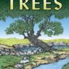 Oracle of the Trees by Valente & D’Angio Oracle of the Trees by Valente & D’Angio