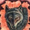 Shaman Wisdom cards by Leita Richesson Shaman Wisdom cards by Leita Richesson