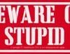 Beware of Stupid 11 1/2″ x 3″ Beware of Stupid 11 1/2″ x 3″