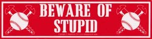 Beware of Stupid  11 1/2″ x 3″