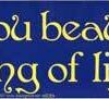 Hello, You Beautiful Being of Light bumper sticker Hello, You Beautiful Being of Light bumper sticker