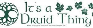 It’s A Druid Thing bumper sticker