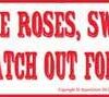 Men Are Like Roses, Sweet So Long As You watch Out For The Pricks bumper sticker Men Are Like Roses, Sweet So Long As You watch Out For The Pricks bumper sticker