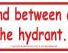 Never Stand Between a Dog and the Hydrant bumper sticker Never Stand Between a Dog and the Hydrant bumper sticker