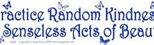 Practice Random Kindness & Senseless Acts of Beauty bumper sticker