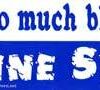 There’s too much blood in my Caffeine System bumper sticker There’s too much blood in my Caffeine System bumper sticker