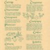 9 Herbs poster