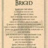 Brigid poster