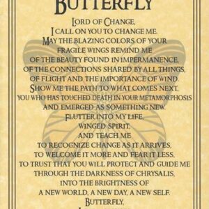 Butterfly Prayer poster