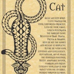 Cat Prayer poster