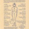 Chakras poster Chakras poster