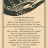 Dolphin poster