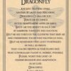 Dragonfly poster Dragonfly poster