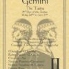 Gemini zodiac poster Gemini zodiac poster