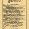 Hedgehog Prayer poster Hedgehog Prayer poster